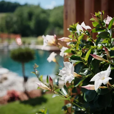Morgenzeit -natuerlich.bed&brunch Hotel