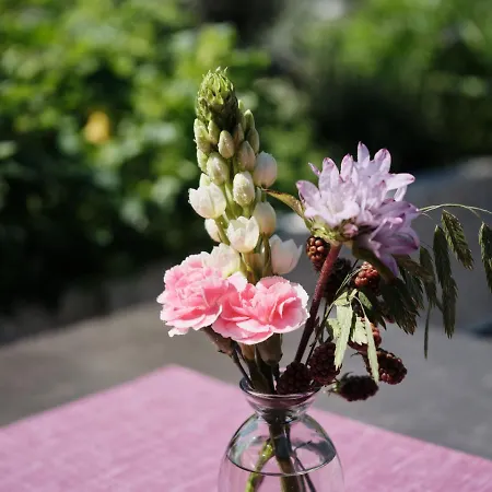 Hotel Wellness Und Brunch Morgenzeit Beheizter Naturpool Mit Sandstrand Genuss Fruehstueck Bis 13 Uhr Hochkoenig Sommercard Maria Alm am Steinernen Meer