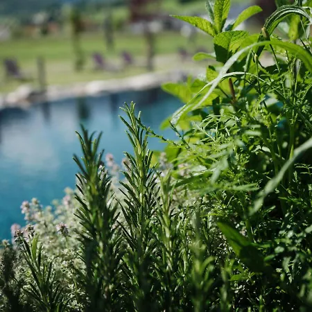 Morgenzeit -natuerlich.bed&brunch Hotel