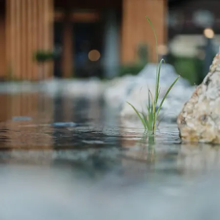 Morgenzeit -natuerlich.bed&brunch 3*