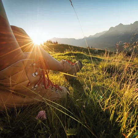 酒店 Wellness Und Brunch Morgenzeit Beheizter Naturteich Genuss Fruehstueck Bis 13 Uhr Hochkoenig Sommercard 玛丽亚埃姆安斯泰内嫩米尔
